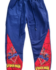 Boys Spiderman Costume (Blue)