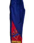 Boys Spiderman Costume (Blue)